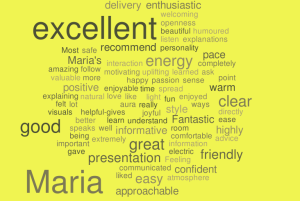 WordItOut-word-cloud-676562 (2)